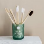 Eco-Warriors Rejoice: How Bamboo Toothbrushes are Saving Our Planet.